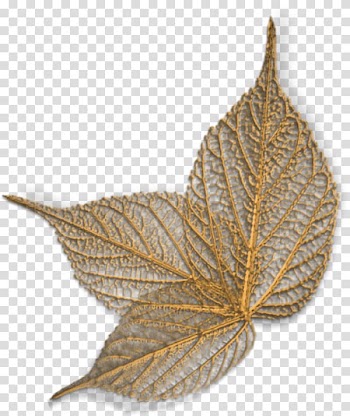 Leaf mechanical engineering, Leaf transparent background PNG clipart