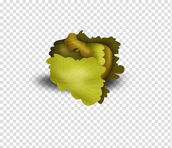 Leaf Melon, Cartoon melon leaf transparent background PNG clipart