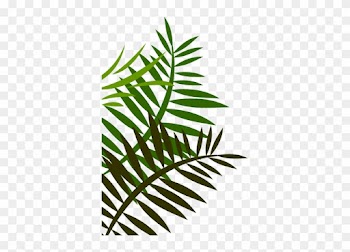Leaf Mural - Google Search - Fern Leaf Shower Curtain
