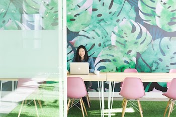 Leaf Mural Office Space
