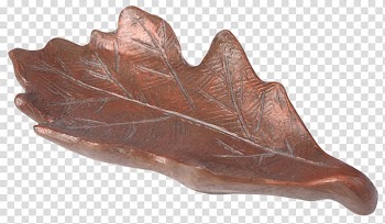 Leaf Northern Red Oak White oak Quercus stellata Quercus bicolor, ribbons fluttered transparent background PNG clipart