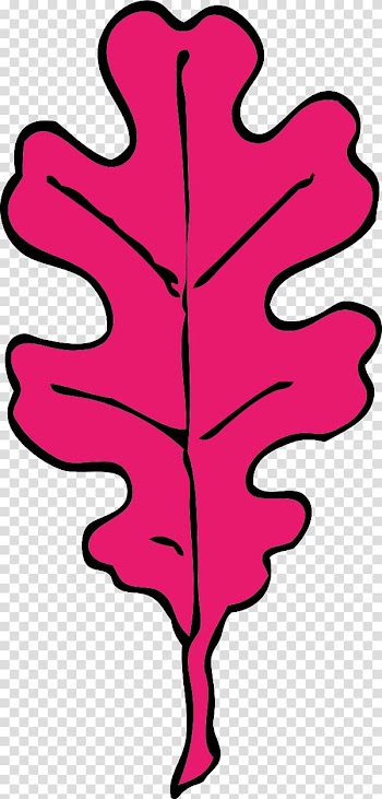 Leaf Oak Acorn , Oak Leaf transparent background PNG clipart