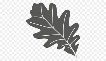 Leaf Oak - Leaf 