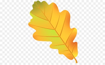 Leaf Oak Tree Acorn Drawing - Leaf 