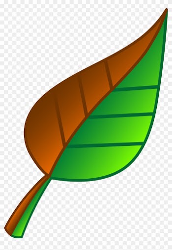 Leaf Of Apple Clipart Green Free Download Clip Art - Green And Brown Leaf