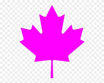 Leaf On The Canadian Flag