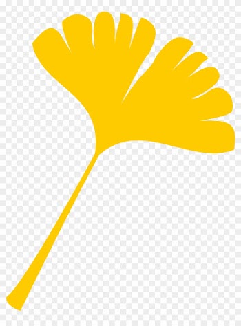 Leaf One Color Flat - Yellow Ginkgo Leaf Clip Art