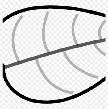Leaf Outline Clipart Leaf Outline Clipart Clipart Panda - Leaf