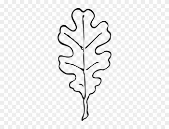 Leaf Outline Cliparts - Oak Leaf Clip Art Black And White
