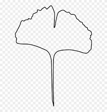 Leaf Outline Fall Leaves Clipart 3 Clipart - Ginkgoblatt Malvorlage
