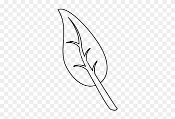 Leaf Outline Leaf Outline Icons Canva Pictures - Food