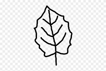 Leaf Outline Leaf Template Ideas Only On Leaves Clip - Maple Leaf