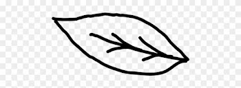 Leaf Outline Transparent Clipart - Leaf Outline Png