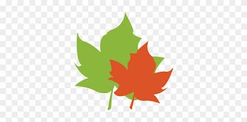 Leaf Pack Network® Is An Initiative Of Stroud™ Water - Maple Leaf
