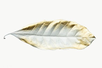 Leaf painted in gold and white design element | Free  transparent png - 2347929
