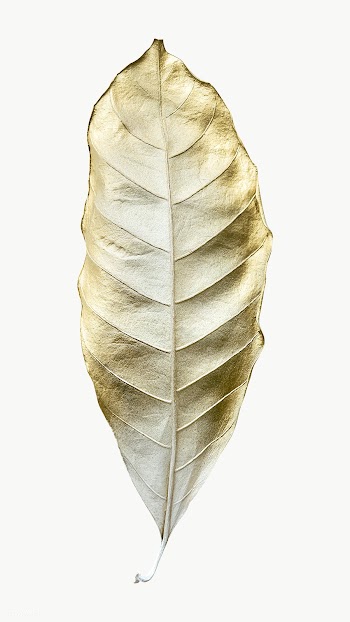 Leaf painted in gold and white design element | Free  transparent png - 2357431
