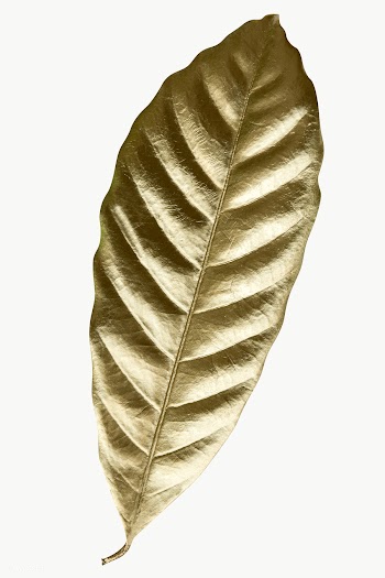 Leaf painted in gold design element | Free  transparent png - 2357442
