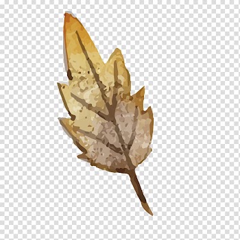 Leaf , Paris leaves painted elements material transparent background PNG clipart