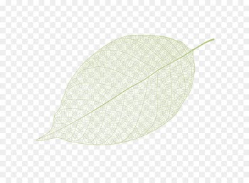 Leaf Pattern - Leaf veins 