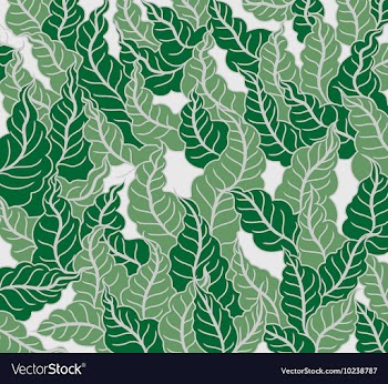 Leaf pattern vector image