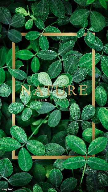 Leaf patterned card | Free stock psd mockup - 599745