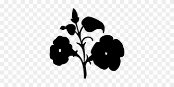 Leaf Petal Flowering Plant Plant Stem - Leaf &amp; Petal