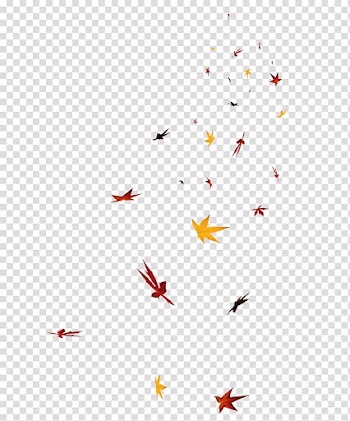 Leaf Petal , leaves transparent background PNG clipart