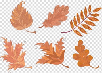 Leaf Petal Yellow , autumn leaves transparent background PNG clipart