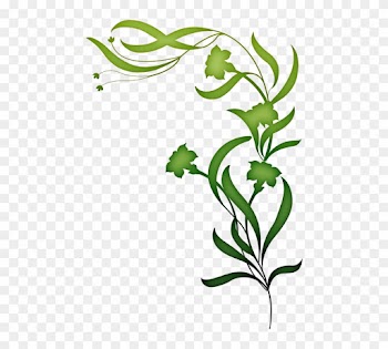 Leaf Pictures Art 11, Buy Clip Art - Top Birthday Wishes For Boss