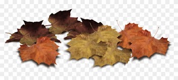Leaf Pile Drawing Download Leaf Pile Drawing Download - Berkley Jensen 22085 30-gallon Yard Waste Lawn And