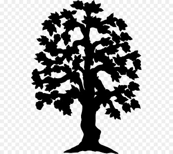 Leaf Pine Plant stem Font Silhouette -  