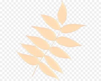 leaf plant beige clip art flower