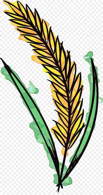 leaf plant clip art flower vascular plant