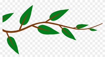 Leaf Plant Clipart, Explore Pictures - Tree Branch Cut Out