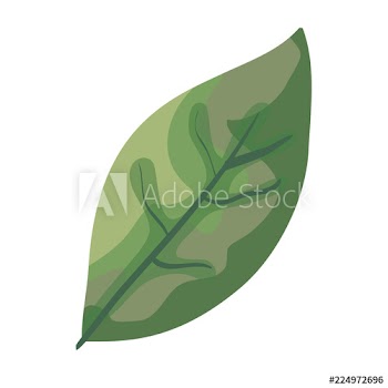 leaf plant ecology icon