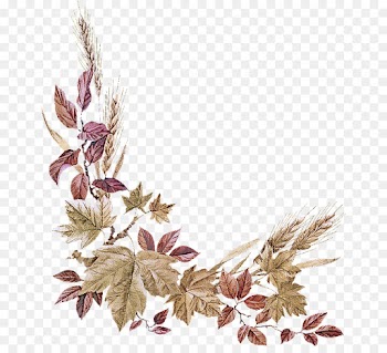 leaf plant flower twig