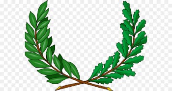 leaf plant herbal flower tree