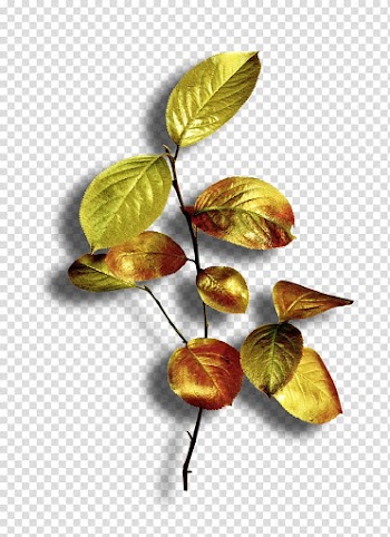 Leaf Plant, Leaf transparent background PNG clipart