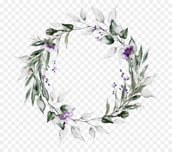 leaf plant lilac flower