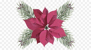 leaf plant pink vascular plant flower