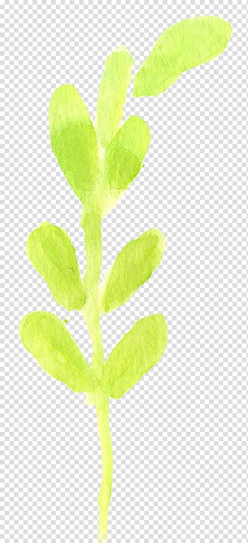 Leaf Plant stem Branching, watercolor texture autumn transparent background PNG clipart