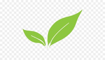 Leaf Plant stem Europe 0 - logo leaf 
