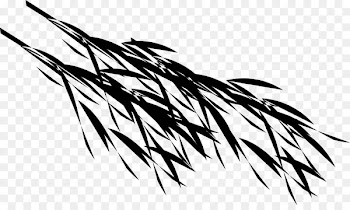 Leaf Plant stem Font Grasses Pattern -  