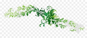 Leaf Plant stem Line Font Flowering plant -  