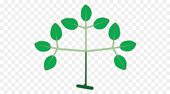 Leaf Plant stem Plants Clip art Epiphyte - corolla frame 