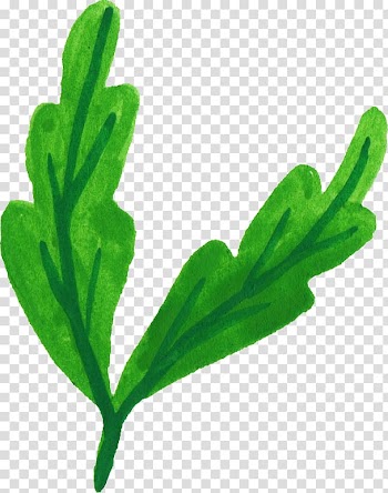 Leaf Plant Watercolor painting , watercolor leaves transparent background PNG clipart
