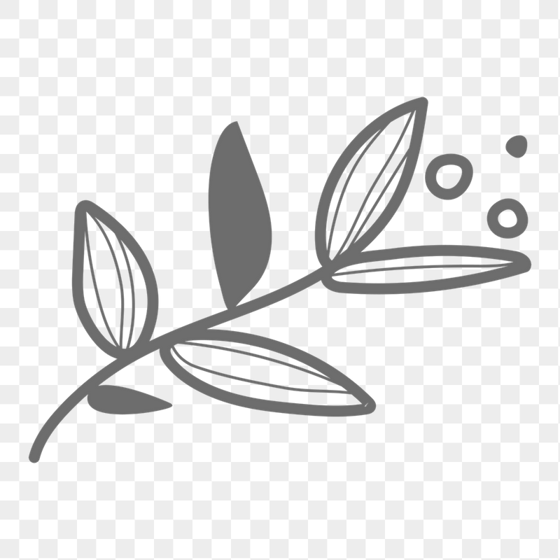 Leaf png doodle sticker, transparent | Free PNG - rawpixel