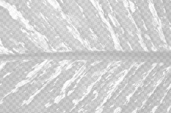 Leaf png overlay, abstract design | Free PNG - rawpixel