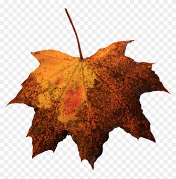 Leaf Png Picture - Old Leaf Png
