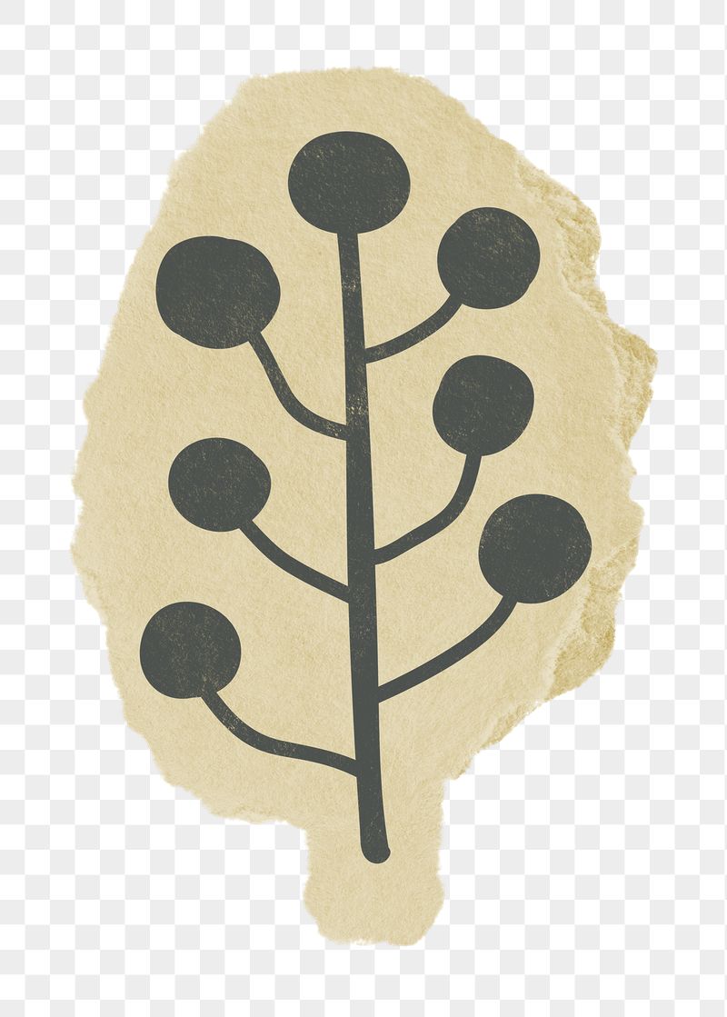 Leaf png sticker, botanical torn | Free PNG - rawpixel